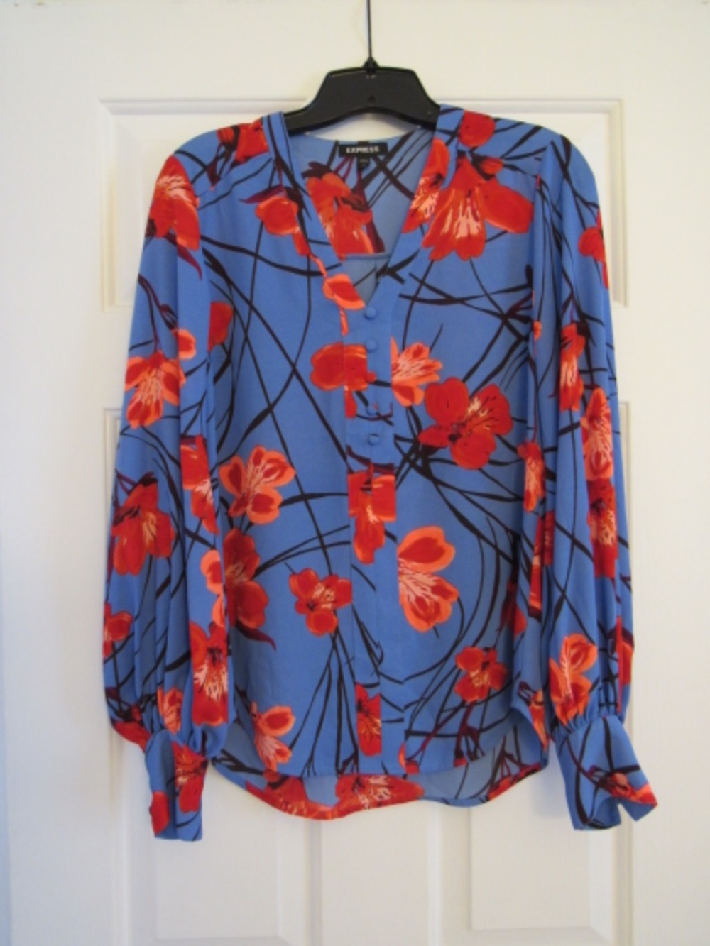 EXPRESS Blue and Red Floral Blouse